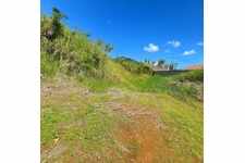 Terrain plat constructible - 610 m² - Les Makes (97421)