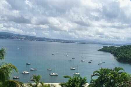 Appartement 1 pièce