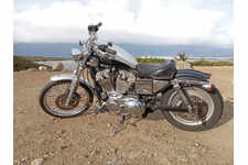 HARLEY 883 HUGGER