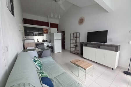 Appartement meublé tout confort T2 à l'Anse Mitan,