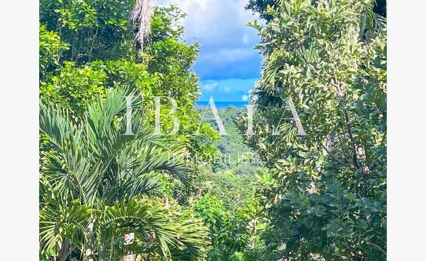 Petit-Bourg - Terrain Constructible - Superficie De 14 466 M