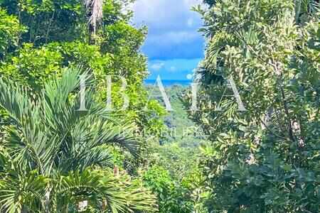 Petit-Bourg - Terrain Constructible - Superficie De 14 466 M