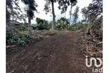 Terrain à bâtir 446 m²