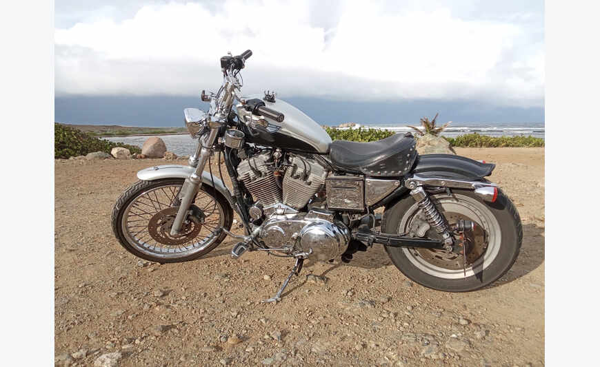 HARLEY 883 HUGGER