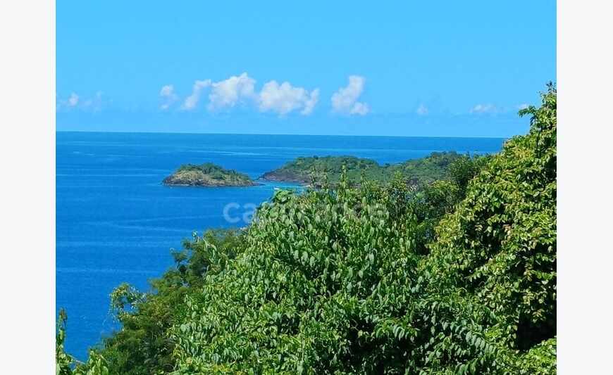 Terrain de 4 516,00 m² Bouillante (971)