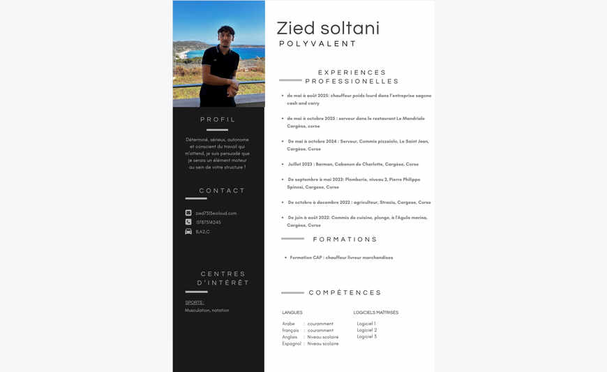 Cherche emploi chauffeur poids lourd / serveur