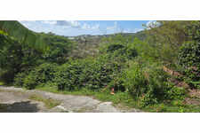 TERRAIN