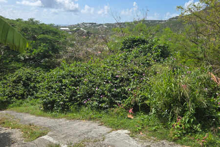 TERRAIN