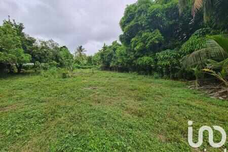 Terrain à bâtir 1 196 m²