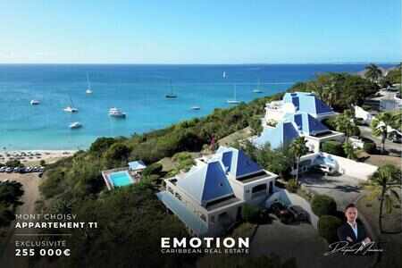 1-room apartment with full sea view, garden and beach access