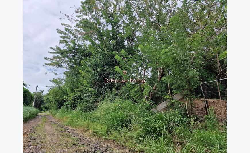 Sud Martinique - Beau Terrain Plat Hors Lotissement - 30%