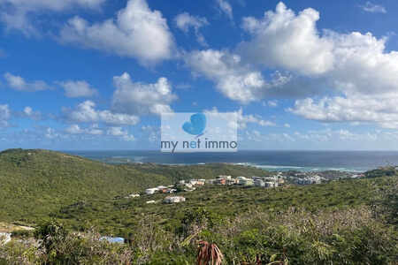 Terrain Oyster Pond 2909M2 Vue Mer