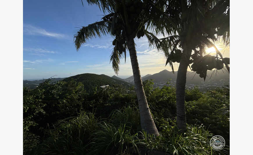 1714002 - Terrain côté hollandais