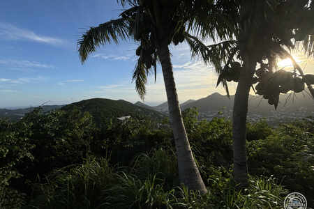 1714002 - Terrain côté hollandais