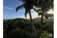 1714002 - Terrain côté hollandais