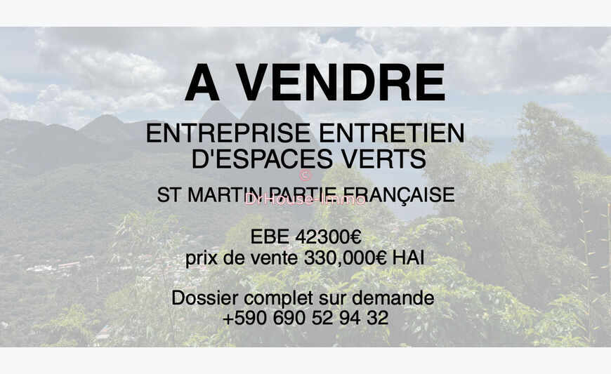 Green spaces maintenance company - St Martin (97150)