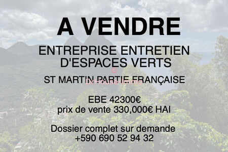 Entreprise entretien espaces verts - St Martin (97150)