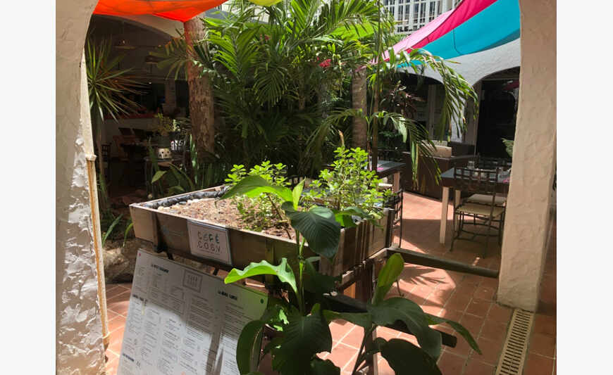 ALQUILER RESTAURANTE DS PATIO TROPICAL + STUDIO CTRE MARIGOT