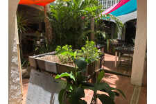RENT RESTAURANT DS PATIO TROPICAL + STUDIO CTRE MARIGOT