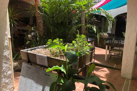LOUE RESTO DS PATIO TROPICAL + STUDIO CTRE MARIGOT