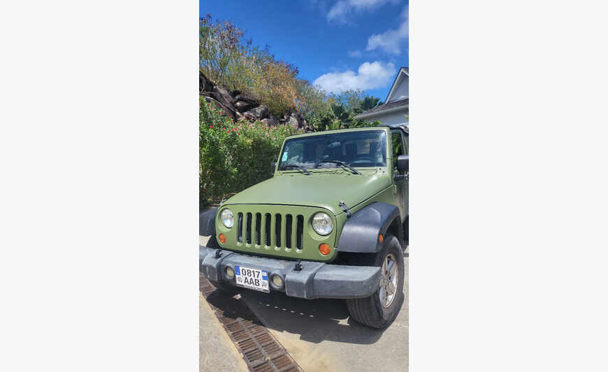 Jeep wrangler customisee
