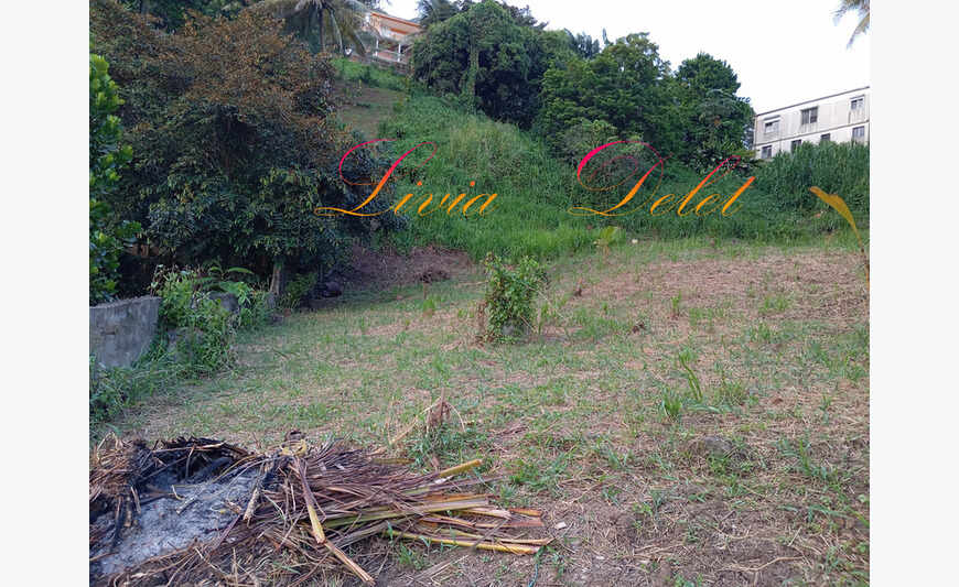 Terrain Le Robert (972)