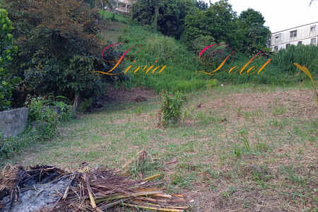 Terrain Le Robert (972)