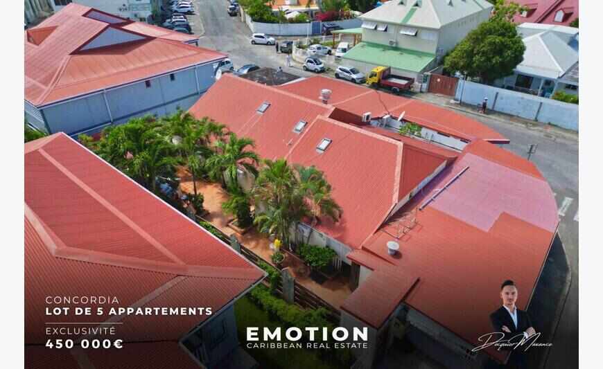 Immeuble de rapports de 5 appartements - Concordia