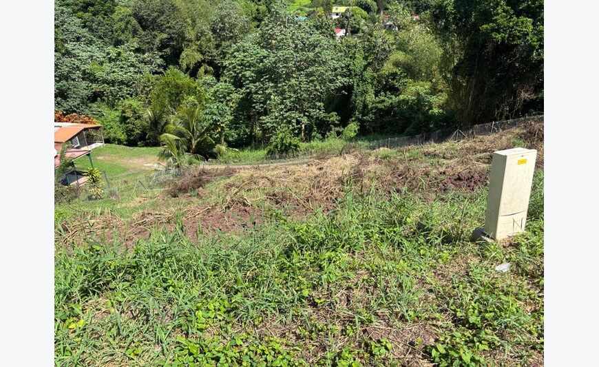 Le Francois Terrain de 669 m²