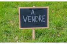 Terrain Le Moule (971)