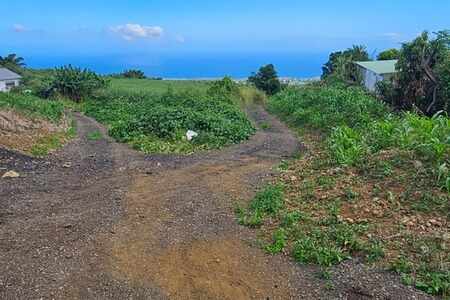 Terrain Tan Rouge (974)