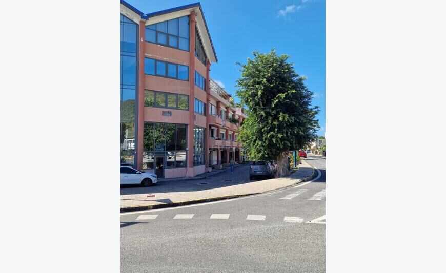 Murs Commerciaux Avec Locataire En Place