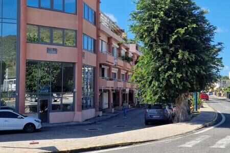 Murs Commerciaux Avec Locataire En Place