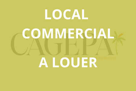 For rent Professional building in Hope Estate