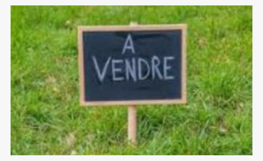 Terrain d'Exception à Saint-Barthélemy ?