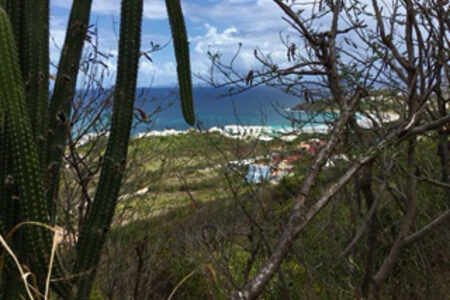 Rare plot of land with stunning sea view in a sought-after area