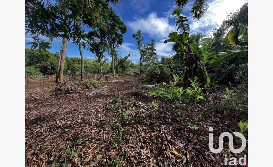 Terrain 350 m²