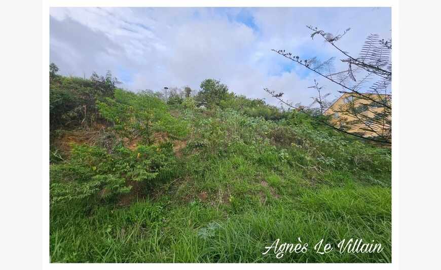 Terrain Pentu dans Quartier Calme