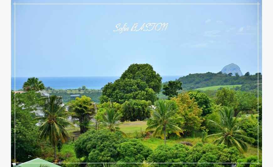 Sainte-Luce Martinique - Propriété 5 logements indépendants