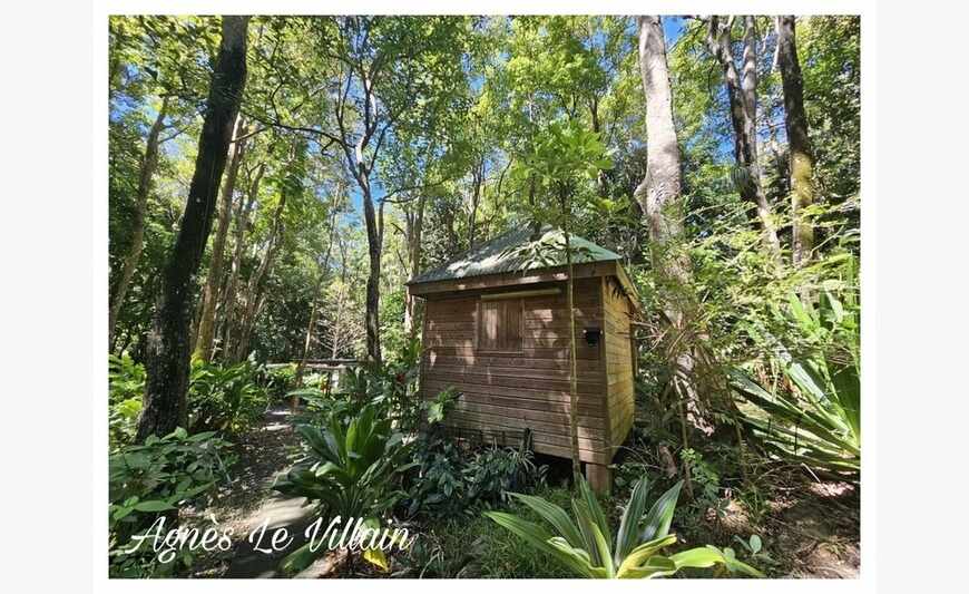 Propriété Maison + 3 Gites sur 5 000 m2 de Forêt
