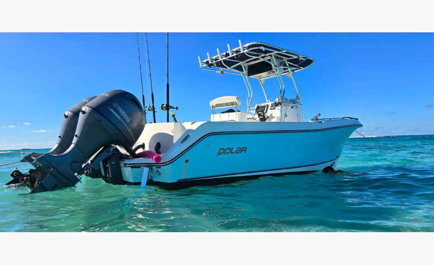 Polar Dynasty boat with 2 engines 115 HP Yamaha