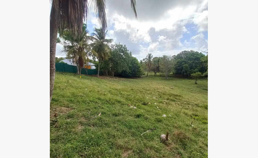 Terrain constructible Dampierre Le Gosier (971)