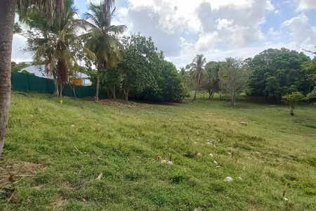 Terrain constructible Dampierre Le Gosier (971)