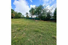 Terrain constructible Dampierre Le Gosier (971)