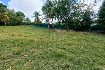 Terrain constructible Dampierre Le Gosier (971)