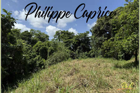 Terrain Le Marin (972)