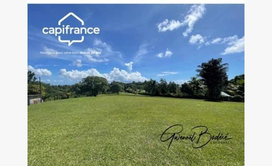 Terrain Petit Bourg (971)