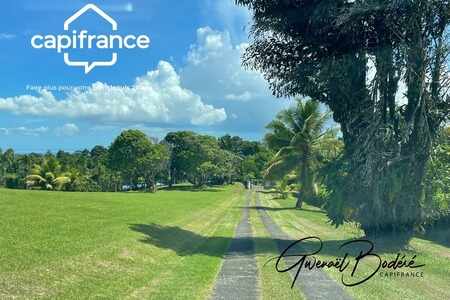 Terrain Petit Bourg (971)