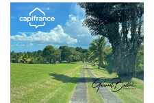 Terrain Petit Bourg (971)