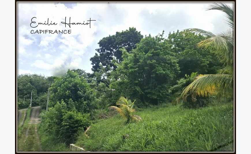 - Terrain de 776m² - Case Pilote